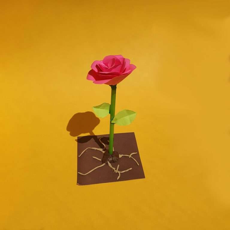 Гүлдің 3D моделі