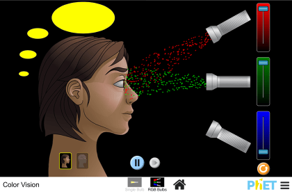 Color Vision