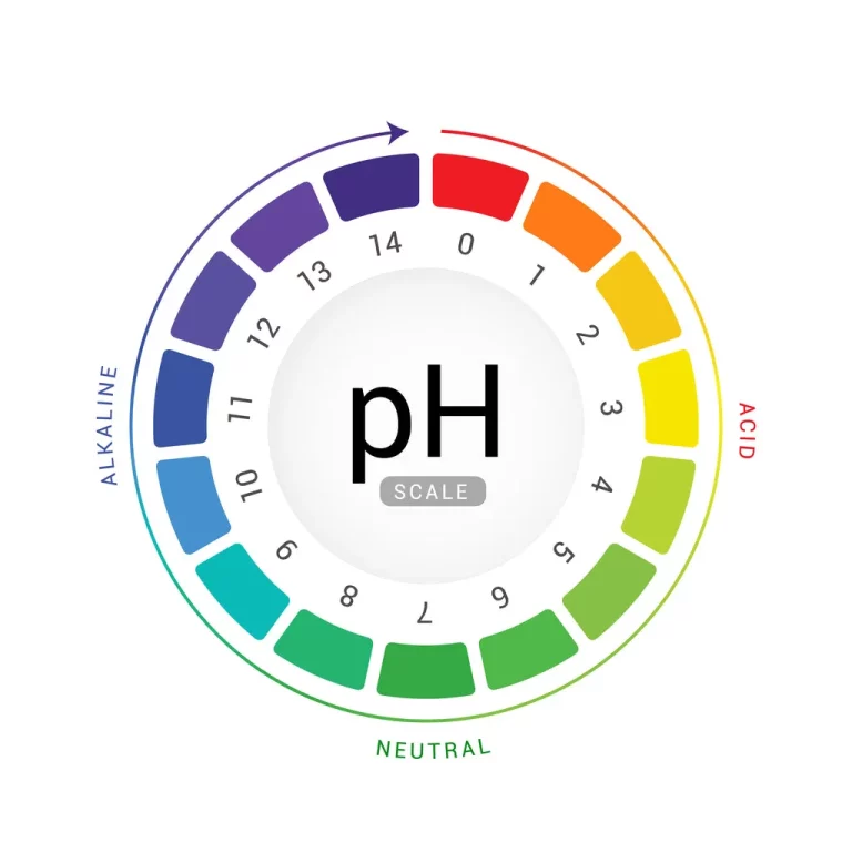 Зертханалық жұмысы №1: pH талдауы