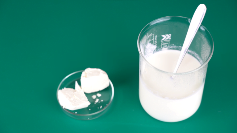 Laboratory work #13: «How to make yogurt and cheese?»