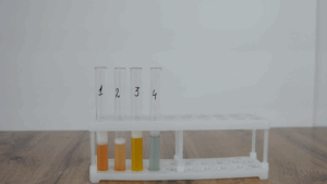 №1-зертханалық жұмыс: «Ферменттер иммобилизациясының олардың белсенділігіне әсерін зерттеу»