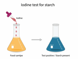 №4-зертханалық жұмыс: «Галогендердің қасиеттерін және сулы ерітіндідегі галогенид-иондарды анықтау»