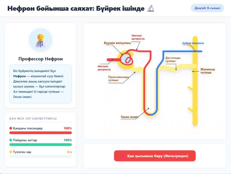 The excretory system