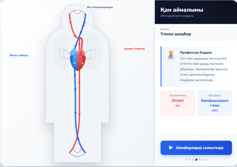 Circulatory system