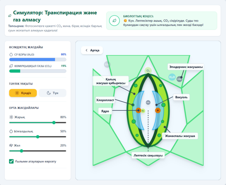 Transpiration and gas exchange