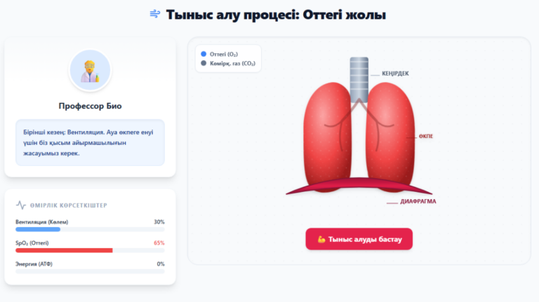 Respiratory system