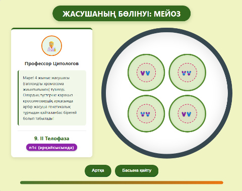Cell division: meiosis