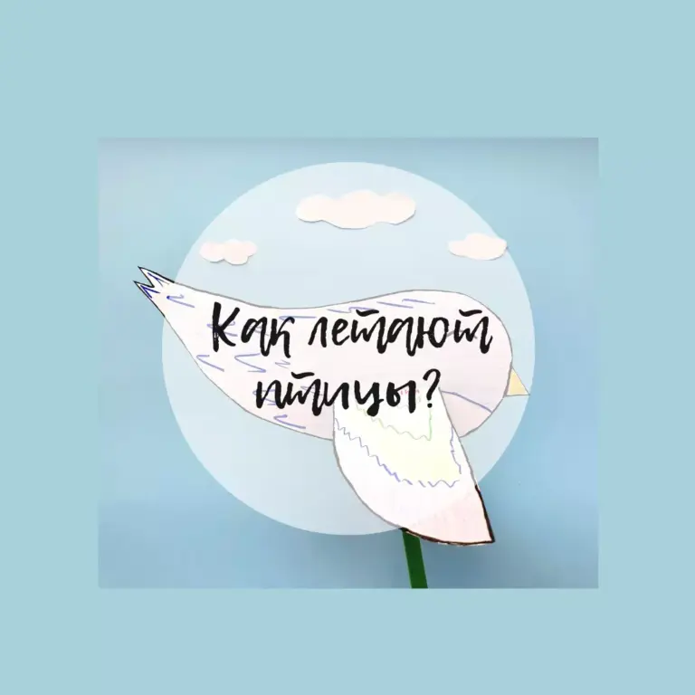 Как летают птицы?