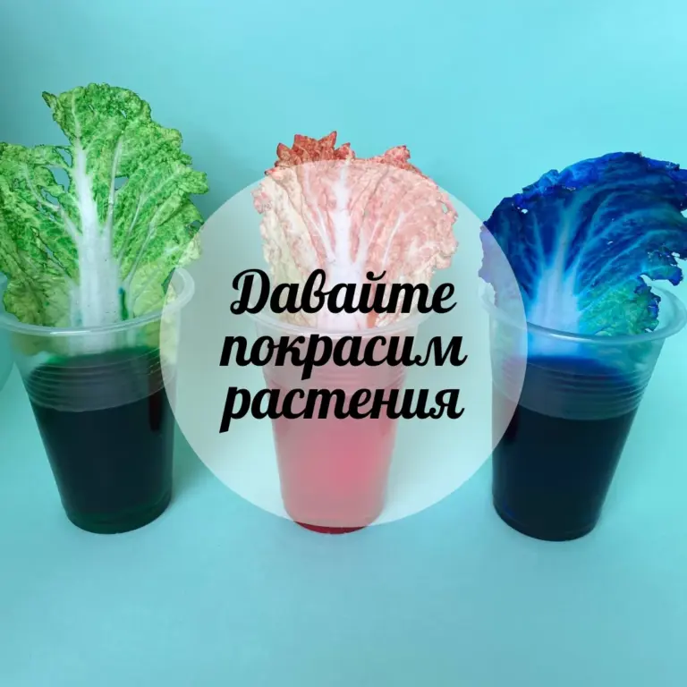 Давайте покрасим растения
