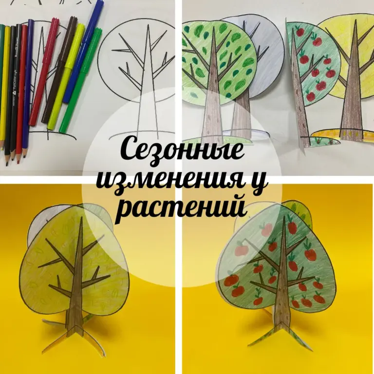 Сезонные изменения у растений