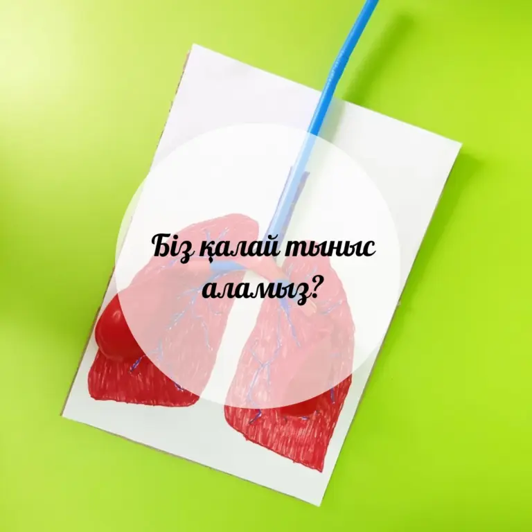 Біз қалай тыныс аламыз?