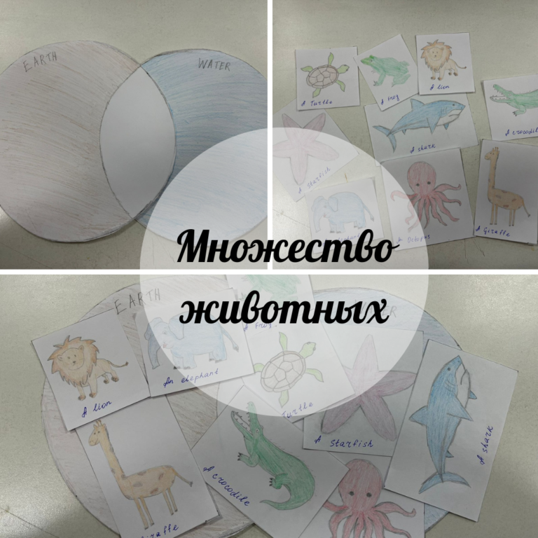 Множество животных