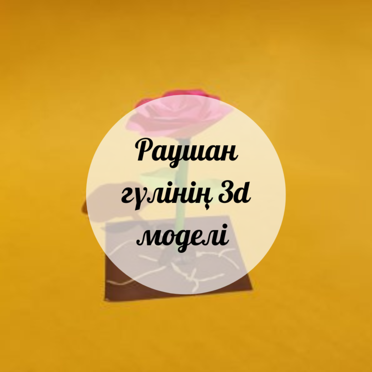 Раушан гүлінің 3d моделі
