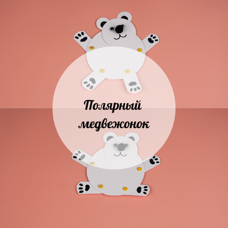 Полярный медвежонок