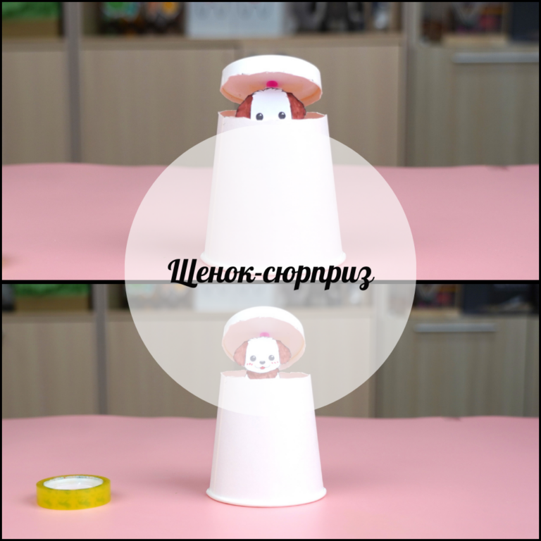 Щенок-сюрприз