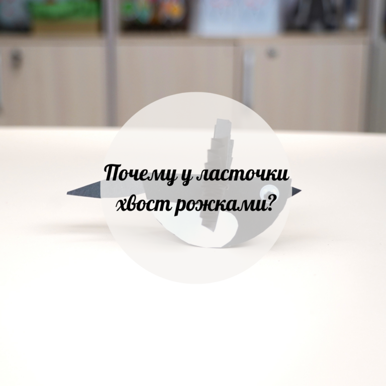 Почему  у ласточки хвост рожками?