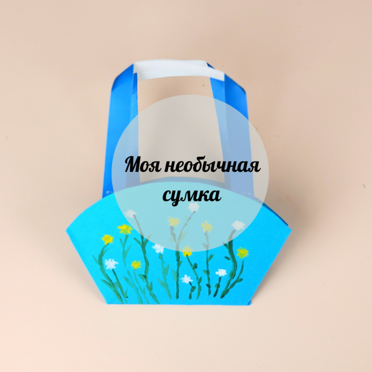 Моя необычная сумка
