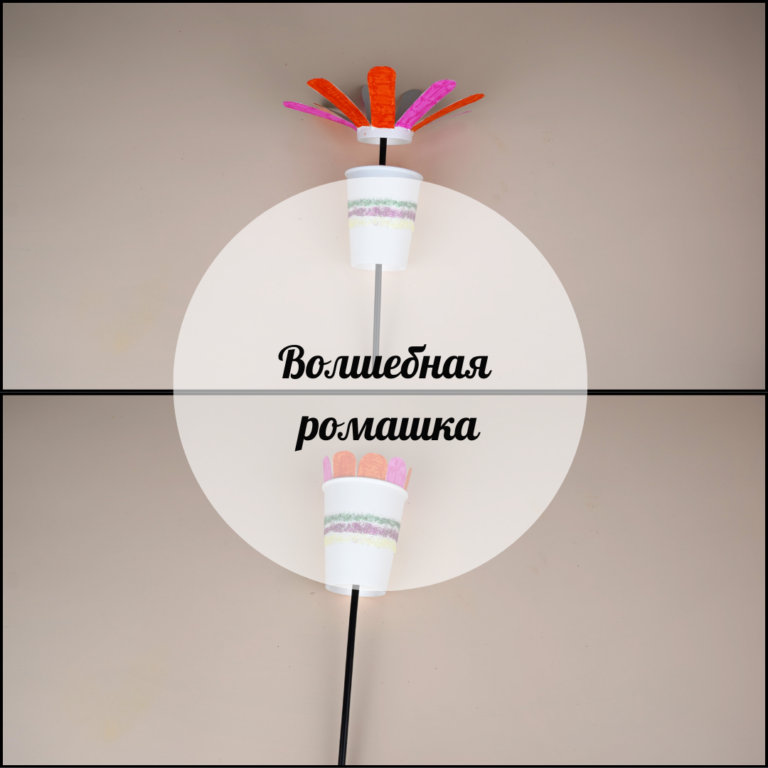 Волшебная ромашка
